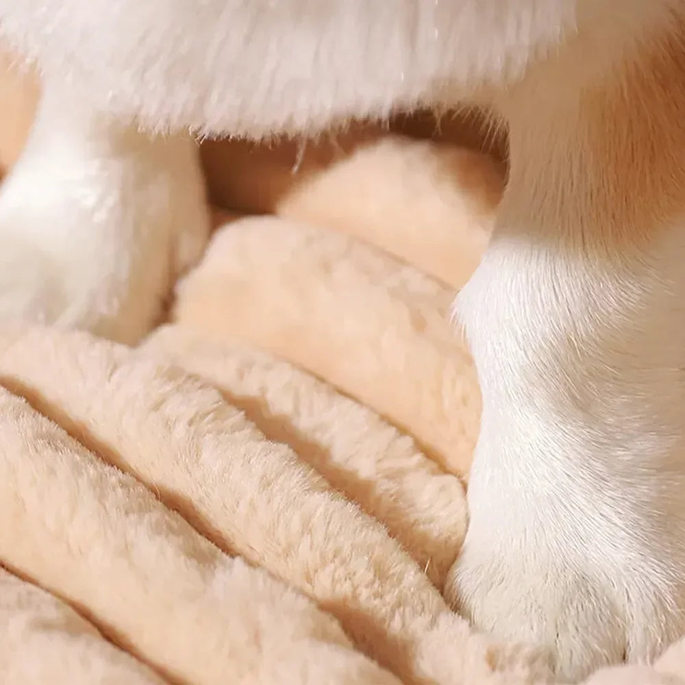 coussin-pour-chien-doux
