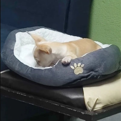 Coussin pour Chien – Snogou