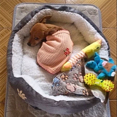 coussin-pour-chien-rassurant