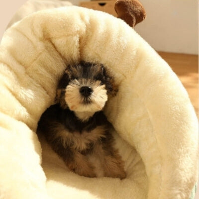 coussin-pour-chien-son-refuge