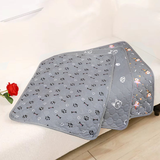 couverture-absorbante-chien