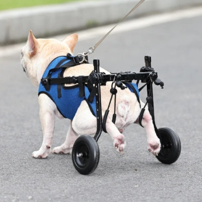 fauteuil-roulant-pour-chien-adaptable-train-arriere