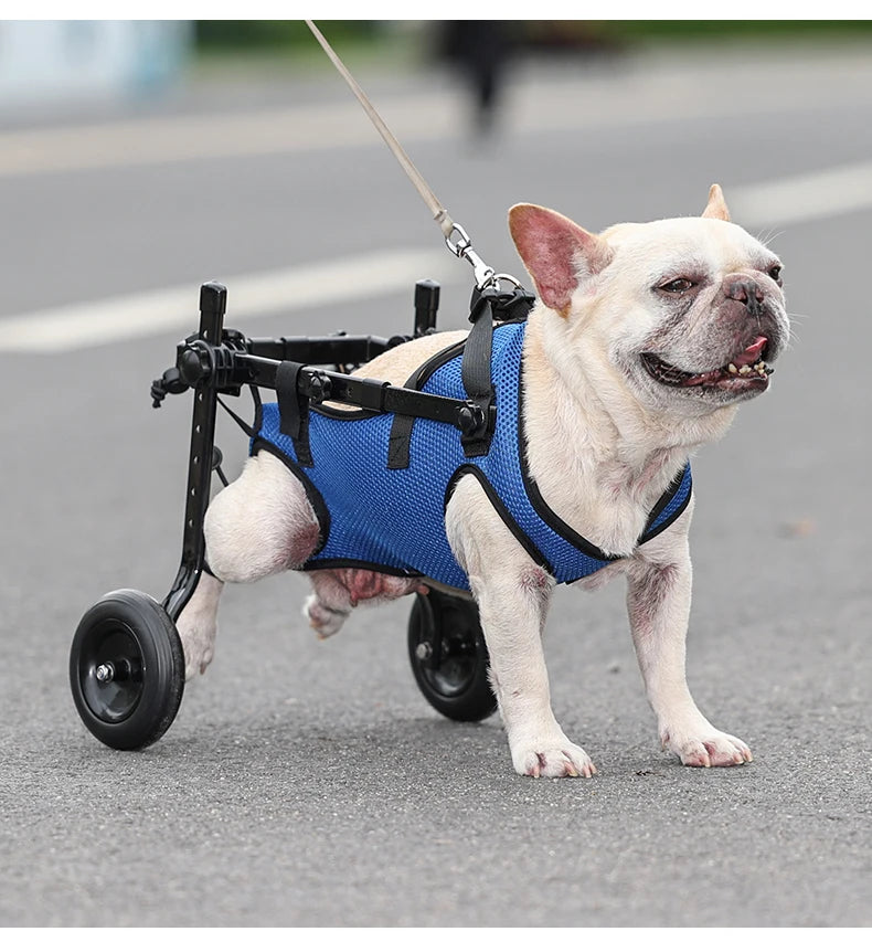 fauteuil-roulant-pour-chien-mobilité-assuré