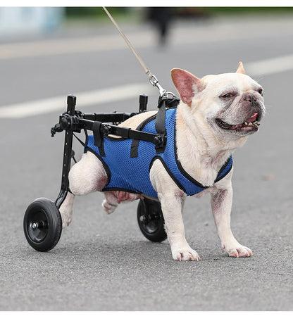 fauteuil-roulant-pour-chien-mobilité-assuré