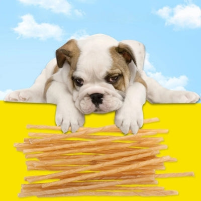 friandises-chien-nettoyage-dents