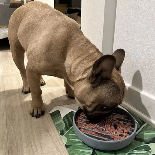 gamelle-anti-glouton-éducatif