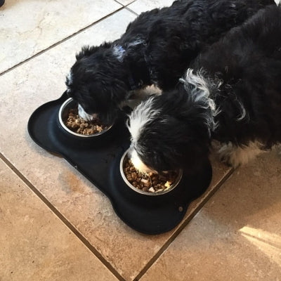 Gamelle Chien - NobleBol