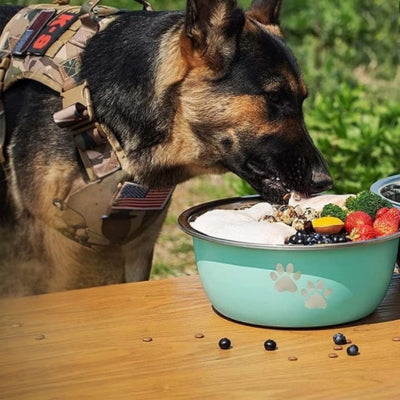 gamelle-chien-grande-dimensions