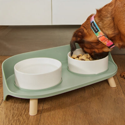 gamelle-chien-surélevée-et-propreté