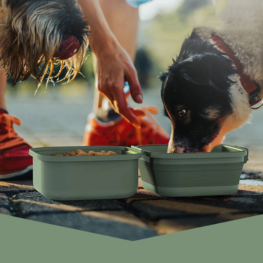 gamelle-pour-chien-etanche