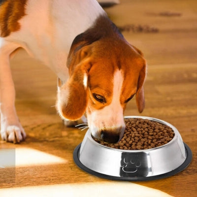 Gamelle pour chien inoxydable - EcoBol