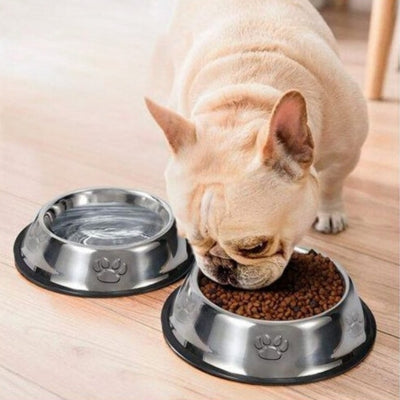 Gamelle pour chien inoxydable - EcoBol