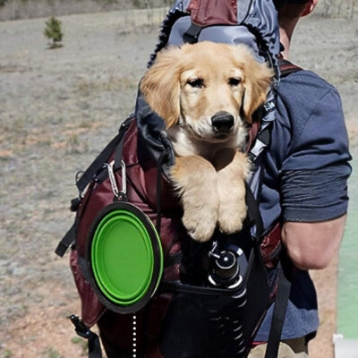 gamelle-pour-chien-pliable-bleu