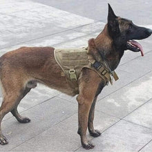 Charger l&#39;image dans la galerie, Harnais anti-traction sécuritaire pour chien, conçu pour réduire les tiraillements lors des promenades, avec sangles ajustables, rembourrage confortable et attache dorsale renforcée.

