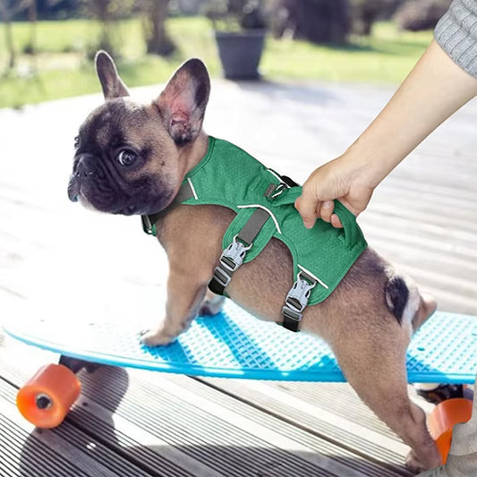 harnais-chien-confortable-ajustable-etanche