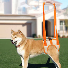 Charger l&#39;image dans la galerie, harnais-chien-soutien-pattes-arriere
