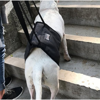 harnais-de-levage-assistance-a-la-montee