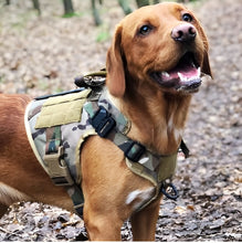 Charger l&#39;image dans la galerie, Harnais pour chien camouflage, robuste et respirant, avec sangles réglables, attache dorsale et design militaire idéal pour les activités en plein air.
