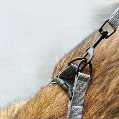 harnais-pour-chien-double-anneau