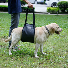 Charger l&#39;image dans la galerie, harnais-pour-chien-handicape-escalier
