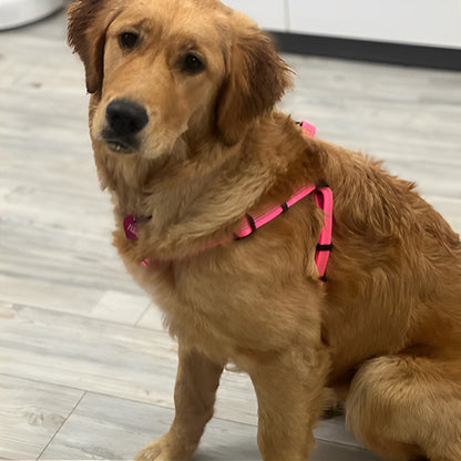 harnais-pour-chien-léger-rose
