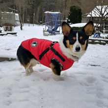 Charger l&#39;image dans la galerie, harnais-pour-chien-manteau-bien-au-chaud
