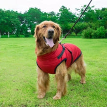 Charger l&#39;image dans la galerie, harnais-pour-chien-manteau-rouge-bien-au-chaud
