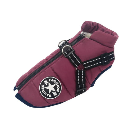 harnais-pour-chien-manteau-violet