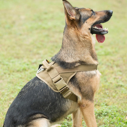 harnais-pour-chien-style-léger-sécuritaire
