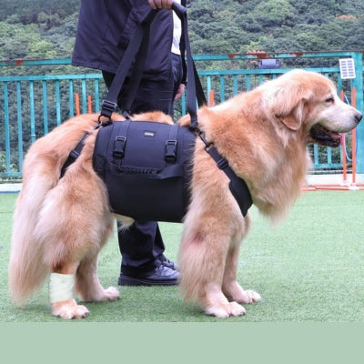 harnais-transport-chien-grande-taille