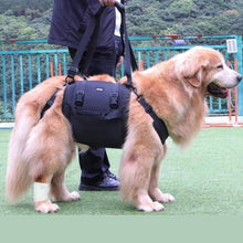 Charger l&#39;image dans la galerie, harnais-transport-chien-grande-taille
