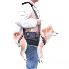 Charger l&#39;image dans la galerie, harnais-transport-chien-petite-taille
