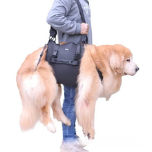 Charger l&#39;image dans la galerie, harnais-transport-chien-taille-L
