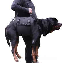 Charger l&#39;image dans la galerie, harnais-transport-chien-taille-XL
