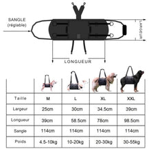 Charger l&#39;image dans la galerie, harnais-transport-chien-taille

