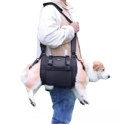 harnais-transport-chien-voyage-rando