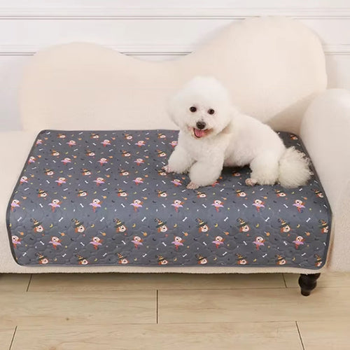 housse-protection-canape-chien