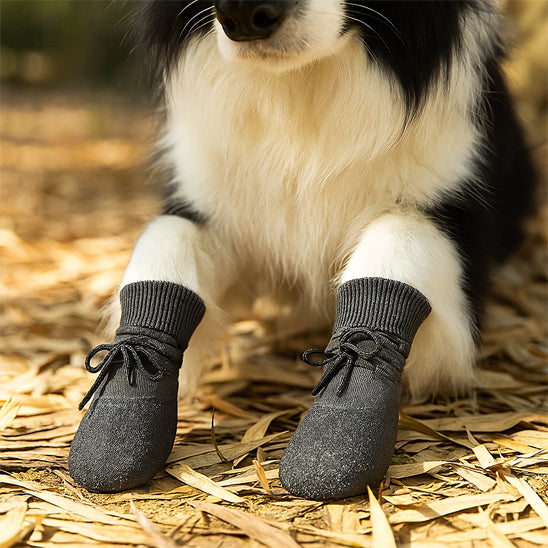 Chien portant des chaussettes noires en tricot avec lacets, assis sur du foin, protection pour les pattes en extérieur.