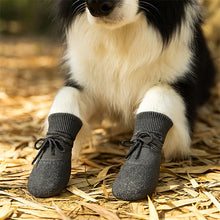 Charger l&#39;image dans la galerie, Chien portant des chaussettes noires en tricot avec lacets, assis sur du foin, protection pour les pattes en extérieur.
