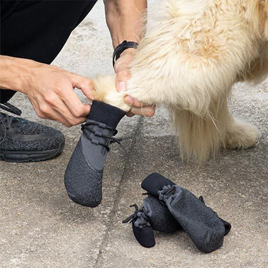 Chaussette pour Chien - Imperméable et Antidérapante