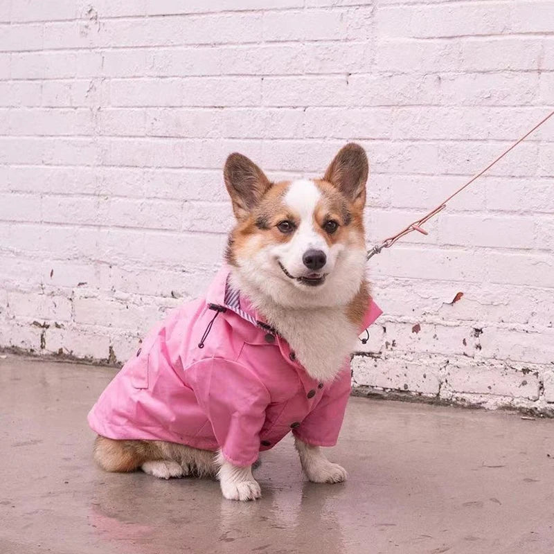imperméable-pour-chien-du-style