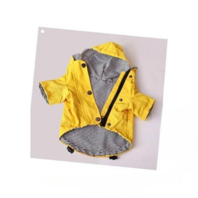 impermeable-pour-chien-jaune-confortable