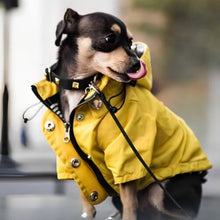 Charger l&#39;image dans la galerie, impermeable-pour-chien-jaune-style
