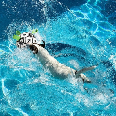 jouet-chien-ballon-flottant