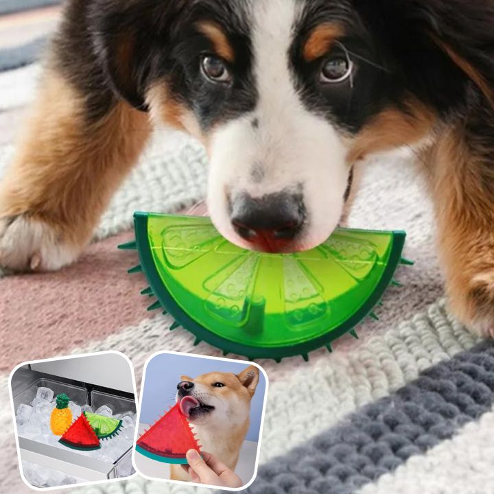 jouet-chien-contre-coup-de-chaleur