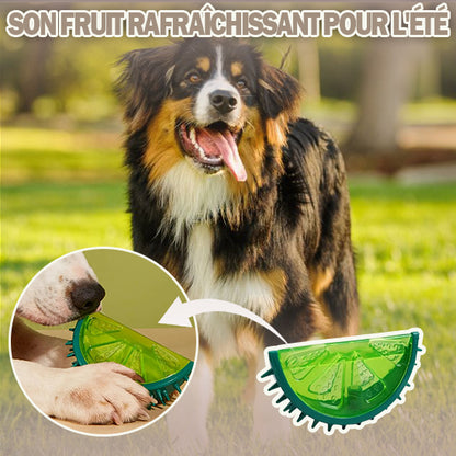 jouet-chien-dentition-eté