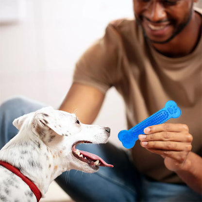 jouet-pour-chien-indestructible-bleu-intéractif