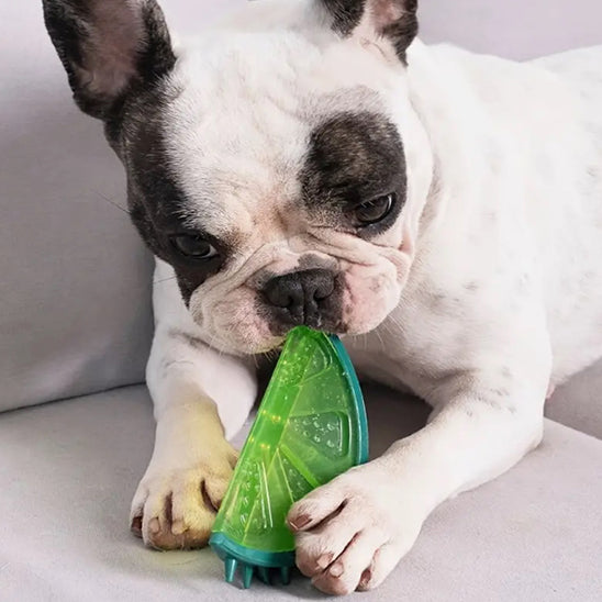 jouet-glacé-pour-chien