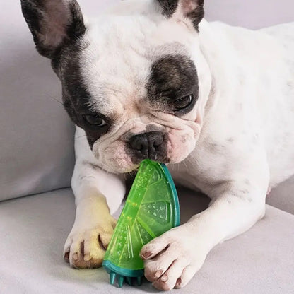 jouet-glacé-pour-chien