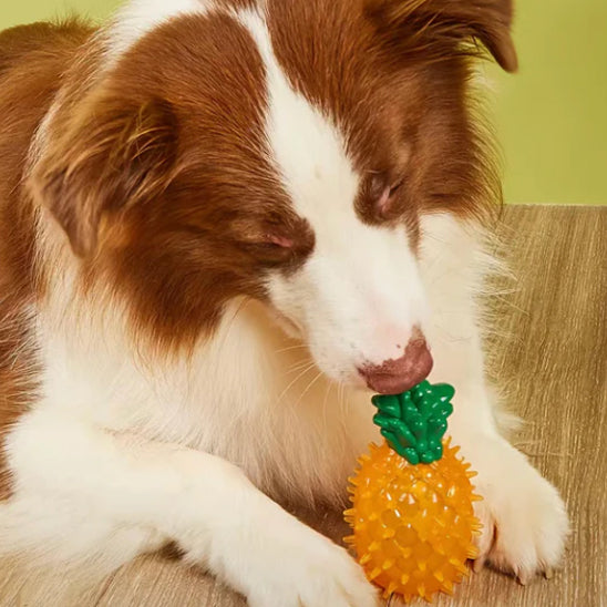 jouet-pour-chien-ananas
